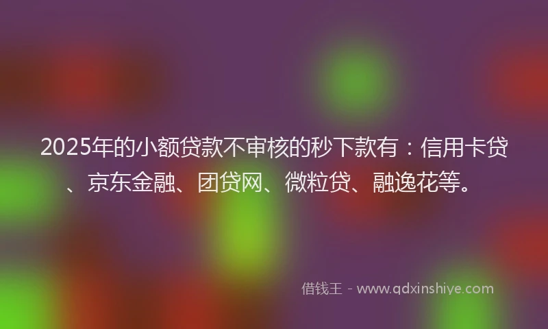 2025年的小额贷款不审核的秒下款有：信用卡贷、京东金融、团贷网、微粒贷、融逸花等。