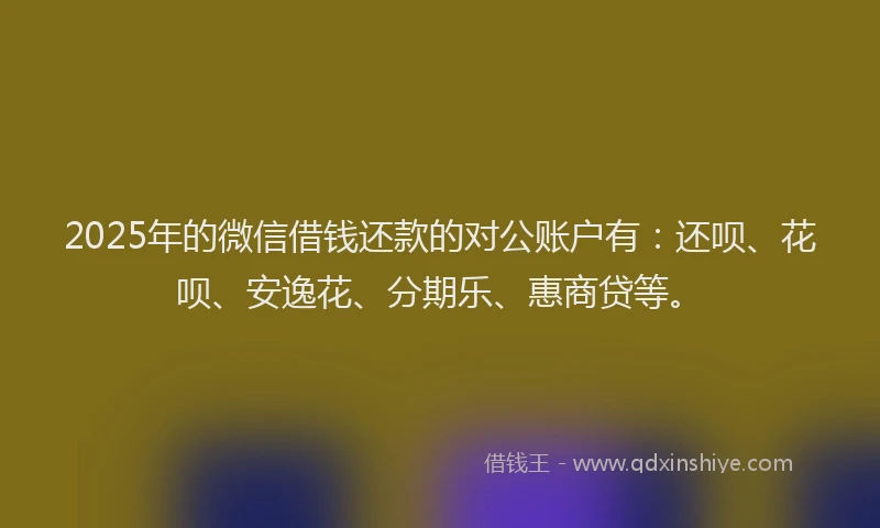 2025年的微信借钱还款的对公账户有：还呗、花呗、安逸花、分期乐、惠商贷等。