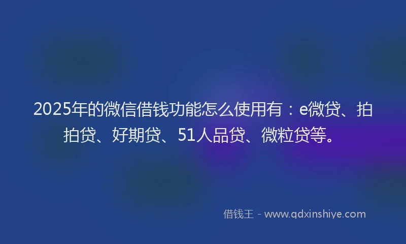 2025年的微信借钱功能怎么使用有：e微贷、拍拍贷、好期贷、51人品贷、微粒贷等。