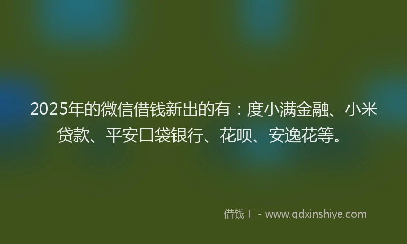 2025年的微信借钱新出的有：度小满金融、小米贷款、平安口袋银行、花呗、安逸花等。