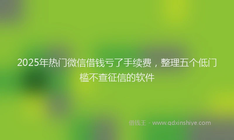 2025年热门微信借钱亏了手续费，整理五个低门槛不查征信的软件
