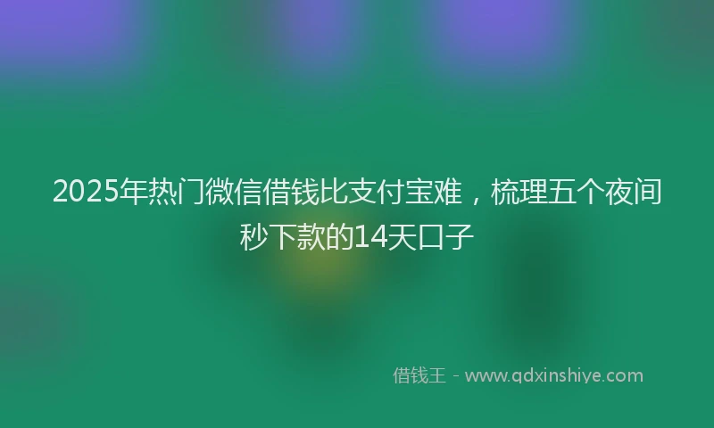 2025年热门微信借钱比支付宝难，梳理五个夜间秒下款的14天口子