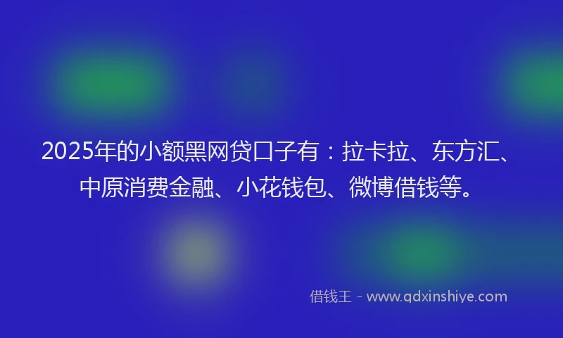 2025年的小额黑网贷口子有：拉卡拉、东方汇、中原消费金融、小花钱包、微博借钱等。