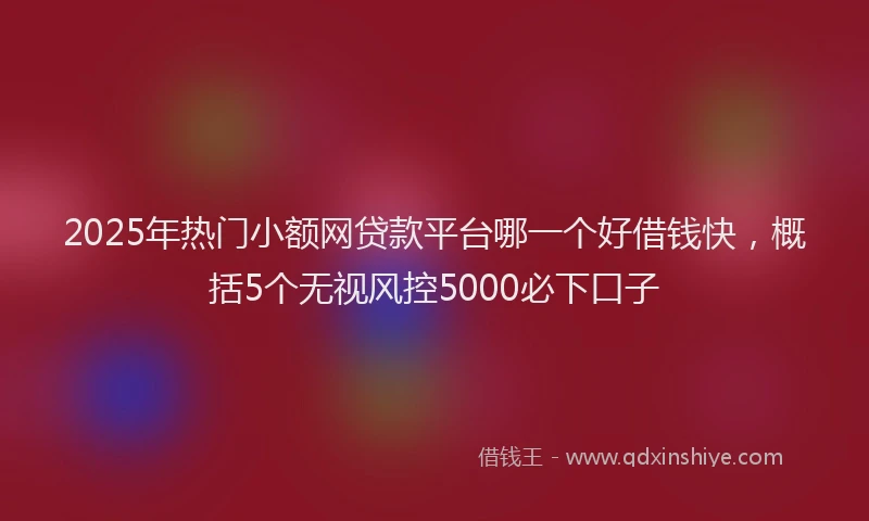 2025年热门小额网贷款平台哪一个好借钱快，概括5个无视风控5000必下口子