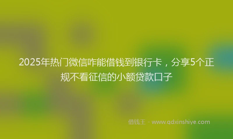 2025年热门微信咋能借钱到银行卡，分享5个正规不看征信的小额贷款口子