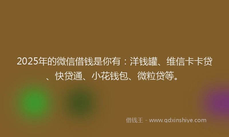 2025年的微信借钱是你有：洋钱罐、维信卡卡贷、快贷通、小花钱包、微粒贷等。