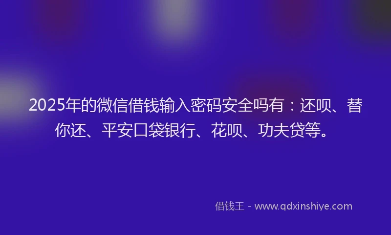 2025年的微信借钱输入密码安全吗有：还呗、替你还、平安口袋银行、花呗、功夫贷等。