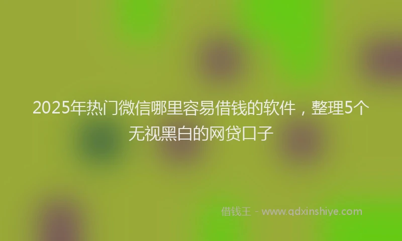 2025年热门微信哪里容易借钱的软件，整理5个无视黑白的网贷口子