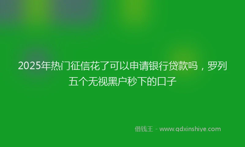 2025年热门征信花了可以申请银行贷款吗，罗列五个无视黑户秒下的口子