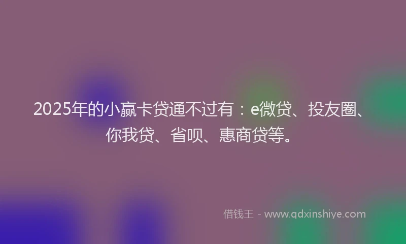 2025年的小赢卡贷通不过有：e微贷、投友圈、你我贷、省呗、惠商贷等。