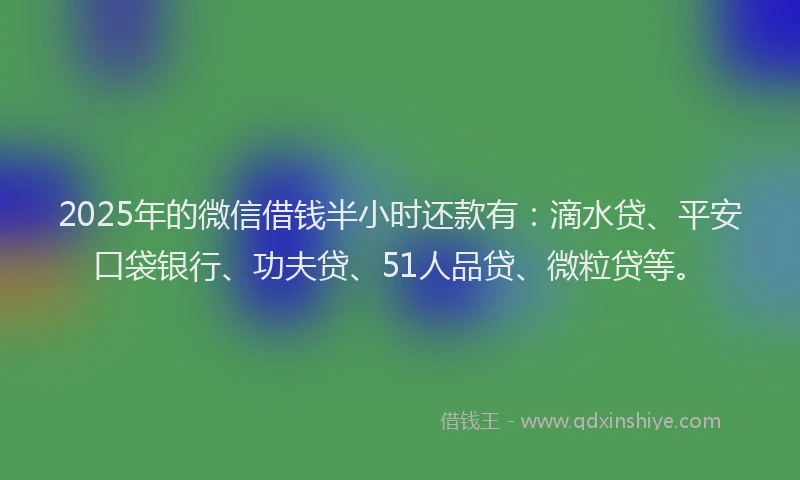 2025年的微信借钱半小时还款有：滴水贷、平安口袋银行、功夫贷、51人品贷、微粒贷等。