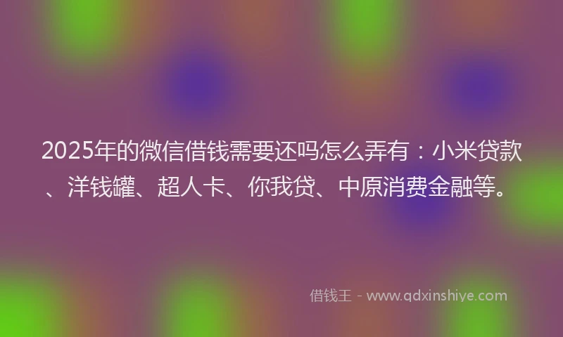 2025年的微信借钱需要还吗怎么弄有：小米贷款、洋钱罐、超人卡、你我贷、中原消费金融等。