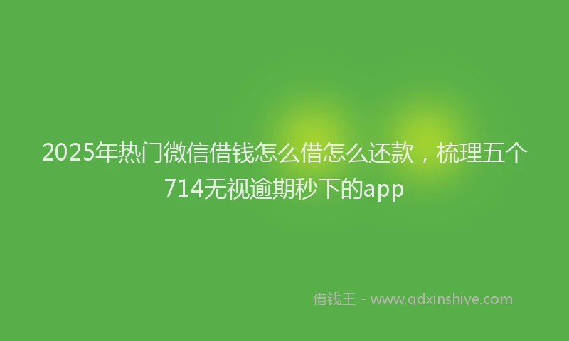 2025年热门微信借钱怎么借怎么还款，梳理五个714无视逾期秒下的app