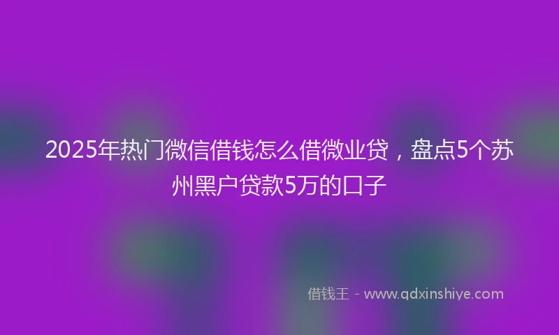 2025年热门微信借钱怎么借微业贷，盘点5个苏州黑户贷款5万的口子