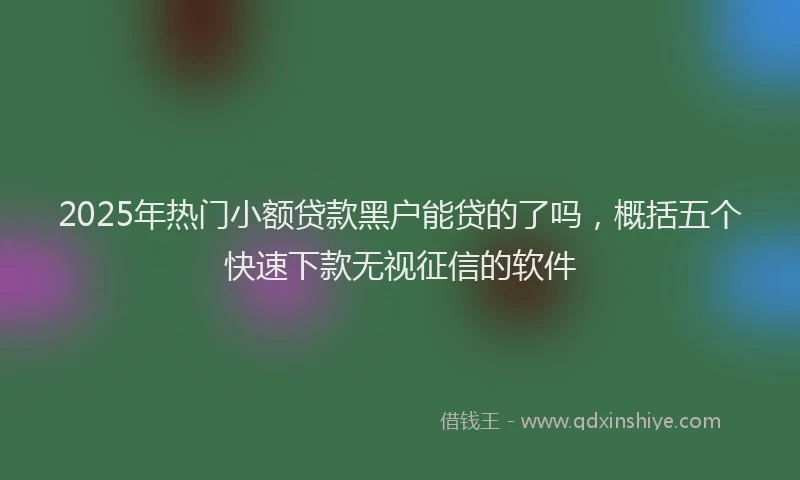 2025年热门小额贷款黑户能贷的了吗，概括五个快速下款无视征信的软件