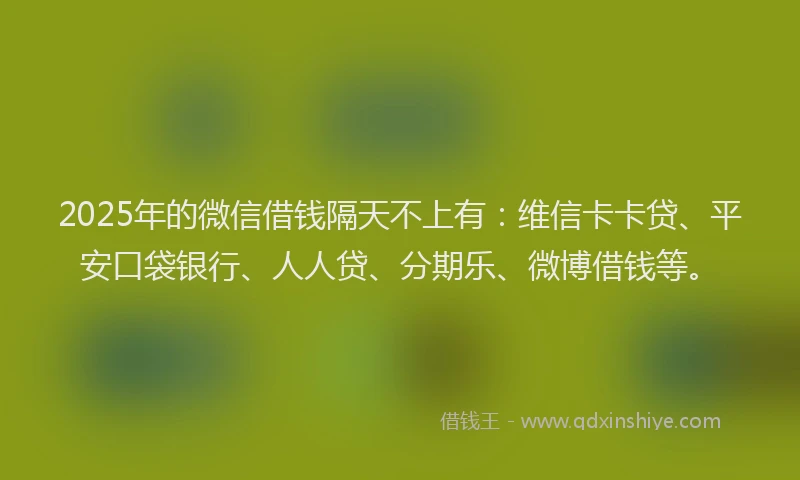 2025年的微信借钱隔天不上有：维信卡卡贷、平安口袋银行、人人贷、分期乐、微博借钱等。