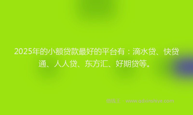 2025年的小额贷款最好的平台有：滴水贷、快贷通、人人贷、东方汇、好期贷等。