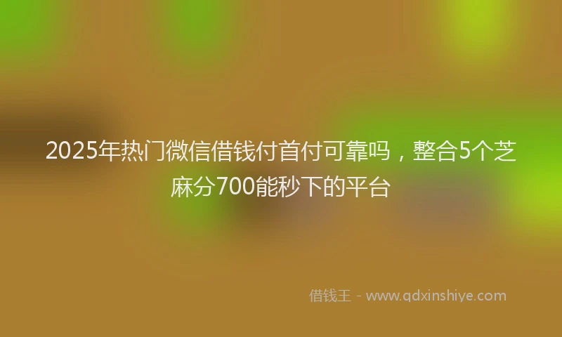 2025年热门微信借钱付首付可靠吗，整合5个芝麻分700能秒下的平台