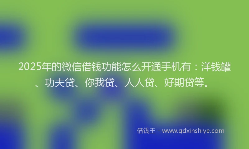 2025年的微信借钱功能怎么开通手机有：洋钱罐、功夫贷、你我贷、人人贷、好期贷等。