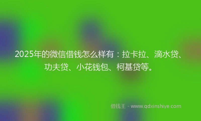 2025年的微信借钱怎么样有：拉卡拉、滴水贷、功夫贷、小花钱包、柯基贷等。