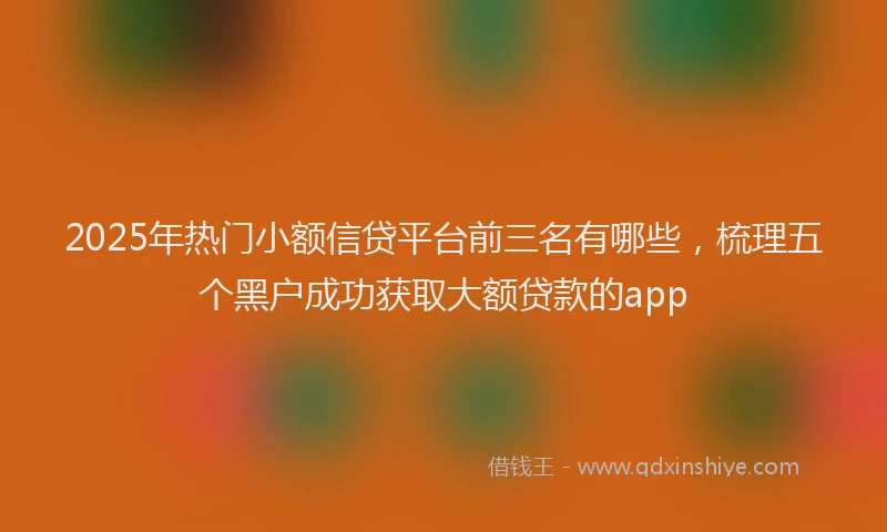 2025年热门小额信贷平台前三名有哪些，梳理五个黑户成功获取大额贷款的app