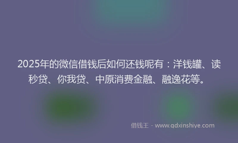 2025年的微信借钱后如何还钱呢有：洋钱罐、读秒贷、你我贷、中原消费金融、融逸花等。