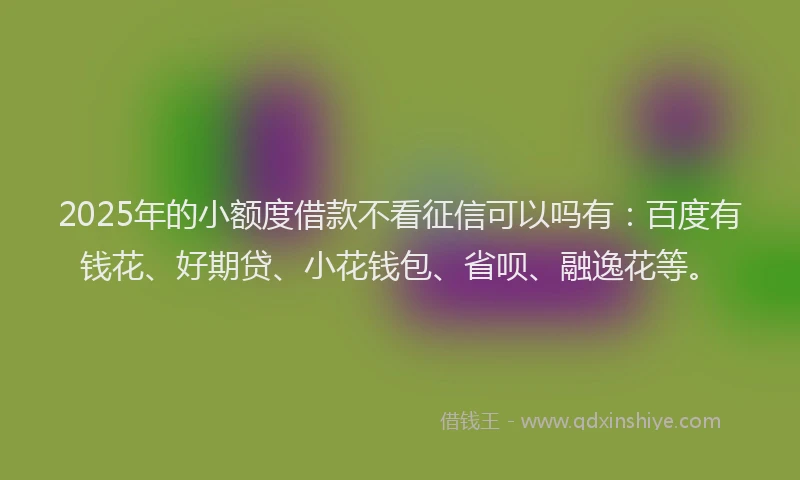 2025年的小额度借款不看征信可以吗有：百度有钱花、好期贷、小花钱包、省呗、融逸花等。