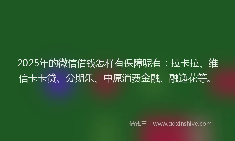 2025年的微信借钱怎样有保障呢有：拉卡拉、维信卡卡贷、分期乐、中原消费金融、融逸花等。