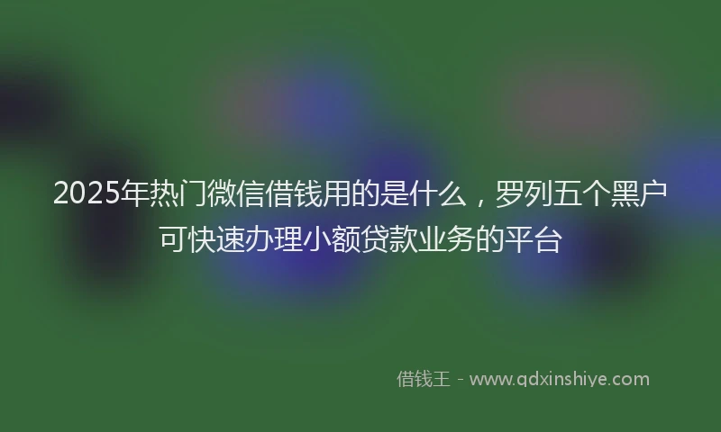 2025年热门微信借钱用的是什么，罗列五个黑户可快速办理小额贷款业务的平台
