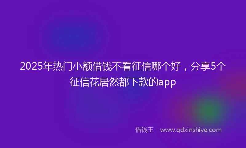 2025年热门小额借钱不看征信哪个好，分享5个征信花居然都下款的app