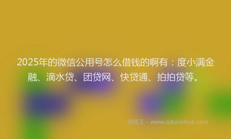 2025年的微信公用号怎么借钱的啊有：度小满金融、滴水贷、团贷网、快贷通、拍拍贷等。