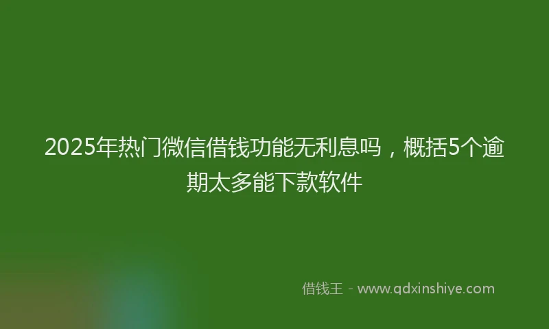 2025年热门微信借钱功能无利息吗，概括5个逾期太多能下款软件