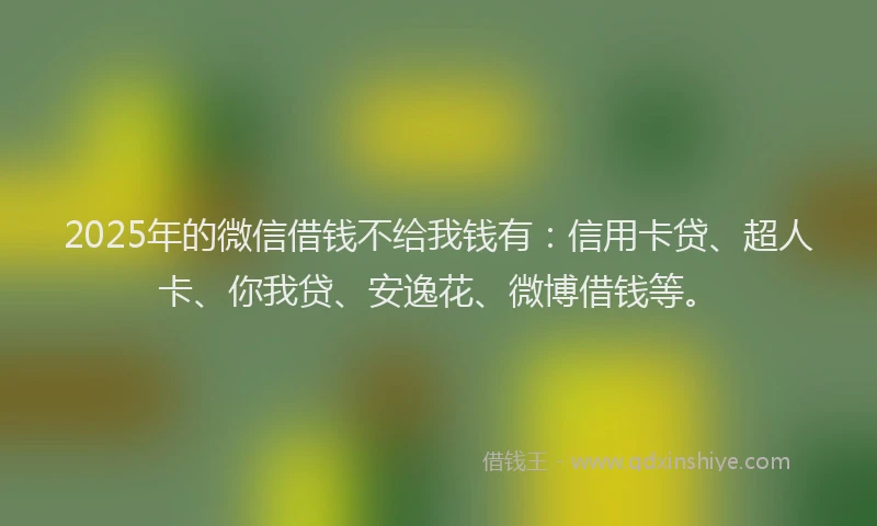 2025年的微信借钱不给我钱有：信用卡贷、超人卡、你我贷、安逸花、微博借钱等。