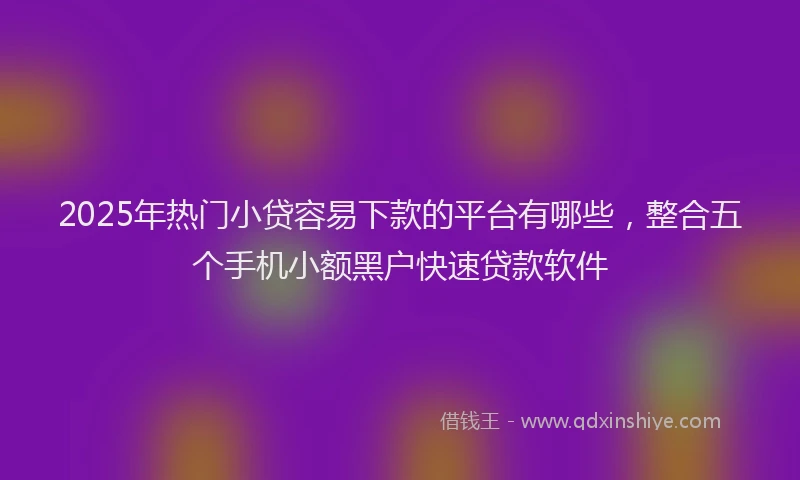 2025年热门小贷容易下款的平台有哪些，整合五个手机小额黑户快速贷款软件