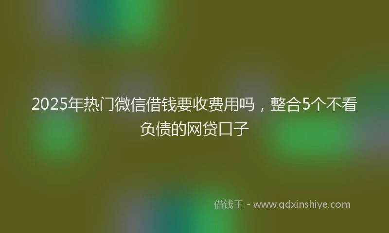 2025年热门微信借钱要收费用吗，整合5个不看负债的网贷口子