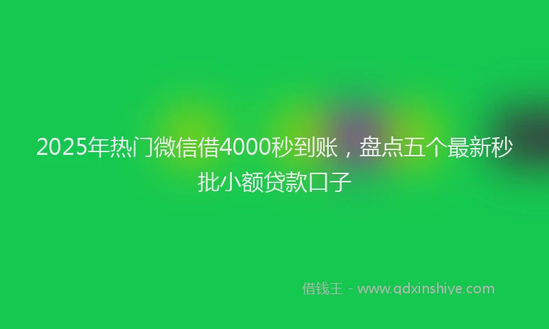 2025年热门微信借4000秒到账，盘点五个最新秒批小额贷款口子