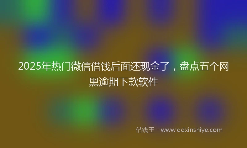2025年热门微信借钱后面还现金了，盘点五个网黑逾期下款软件