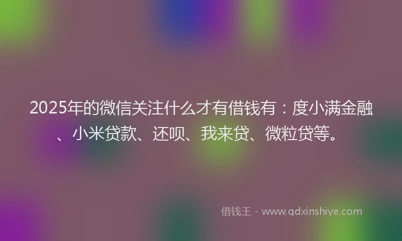 2025年的微信关注什么才有借钱有：度小满金融、小米贷款、还呗、我来贷、微粒贷等。