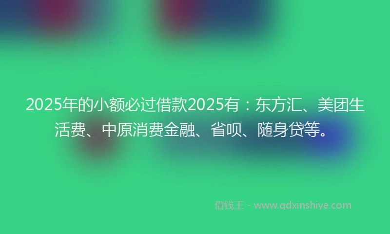 2025年的小额必过借款2025有：东方汇、美团生活费、中原消费金融、省呗、随身贷等。