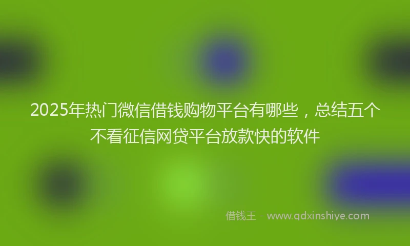 2025年热门微信借钱购物平台有哪些，总结五个不看征信网贷平台放款快的软件