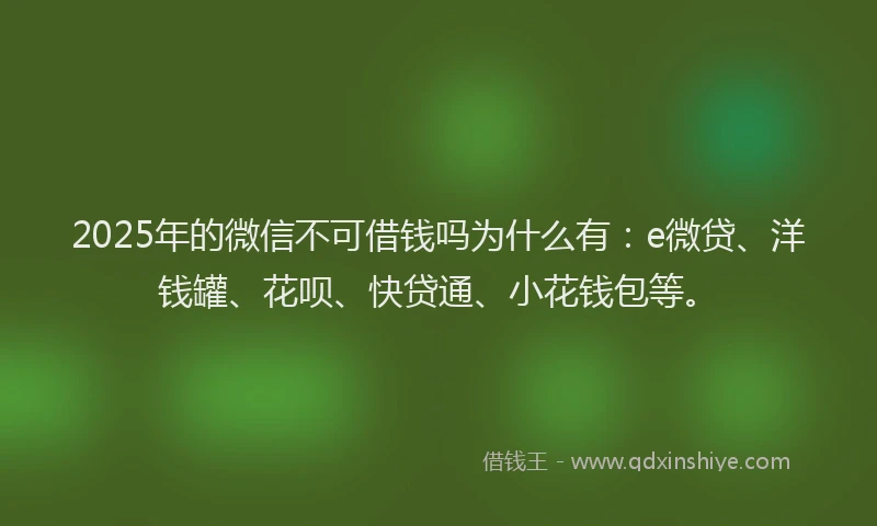 2025年的微信不可借钱吗为什么有：e微贷、洋钱罐、花呗、快贷通、小花钱包等。