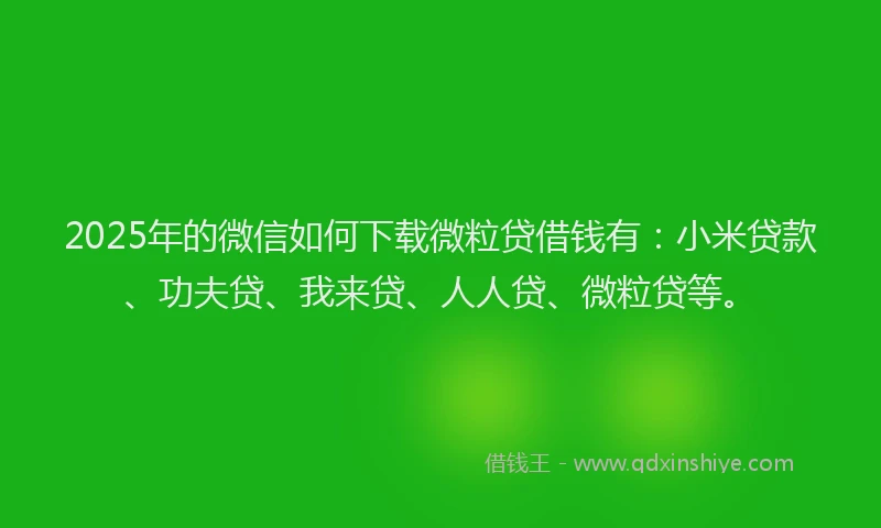 2025年的微信如何下载微粒贷借钱有：小米贷款、功夫贷、我来贷、人人贷、微粒贷等。
