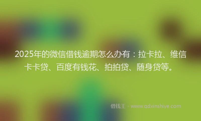 2025年的微信借钱逾期怎么办有：拉卡拉、维信卡卡贷、百度有钱花、拍拍贷、随身贷等。