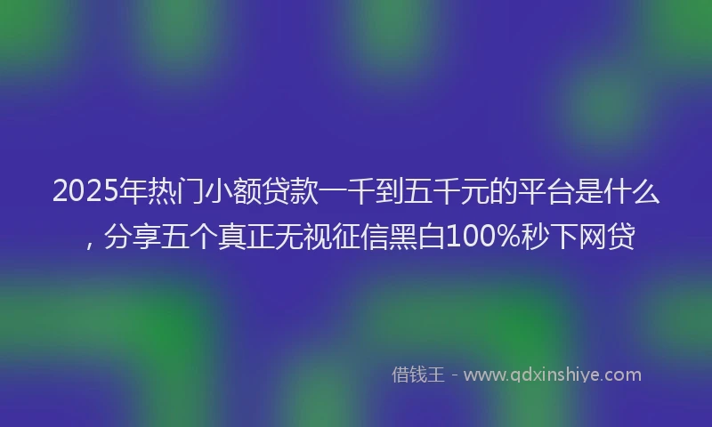 2025年热门小额贷款一千到五千元的平台是什么，分享五个真正无视征信黑白100%秒下网贷