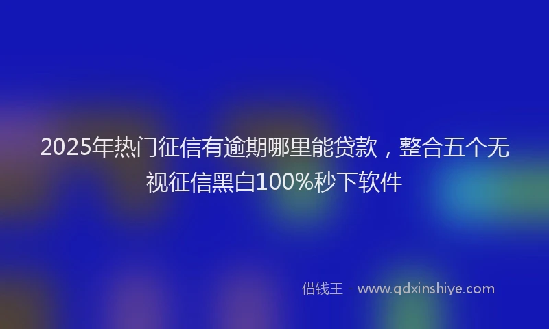 2025年热门征信有逾期哪里能贷款，整合五个无视征信黑白100%秒下软件