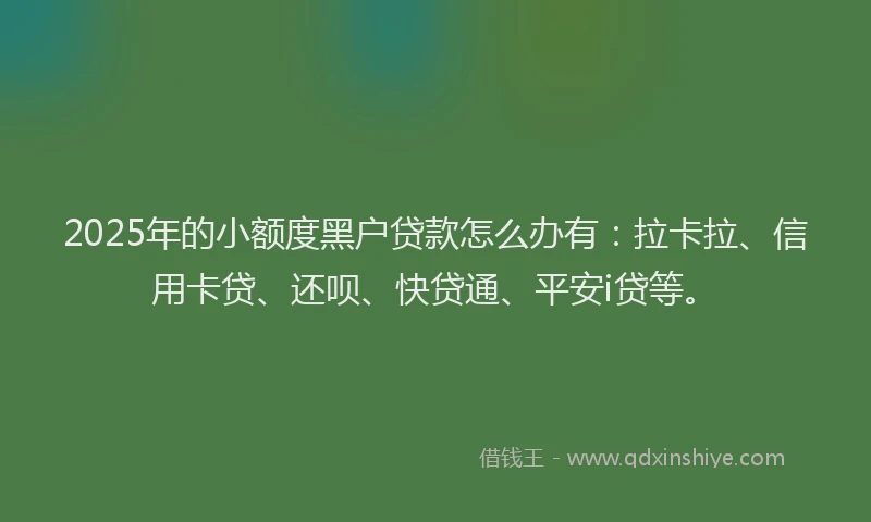 2025年的小额度黑户贷款怎么办有：拉卡拉、信用卡贷、还呗、快贷通、平安i贷等。