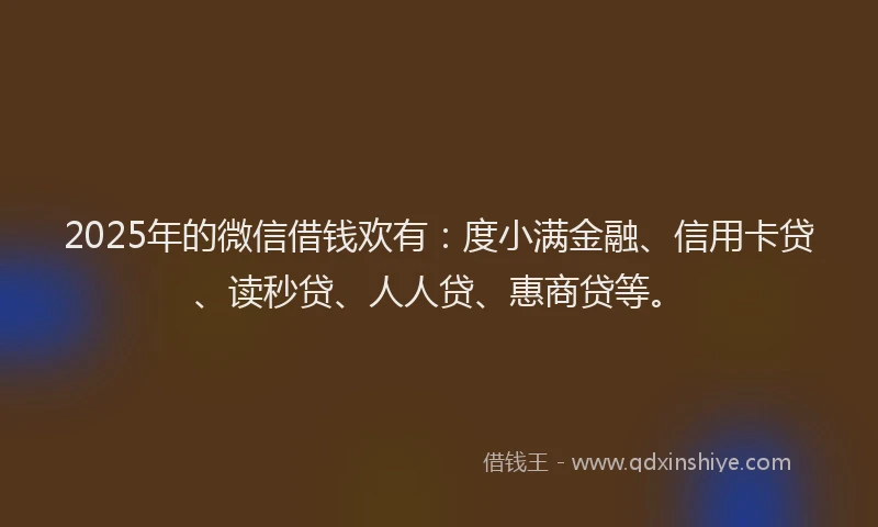 2025年的微信借钱欢有：度小满金融、信用卡贷、读秒贷、人人贷、惠商贷等。