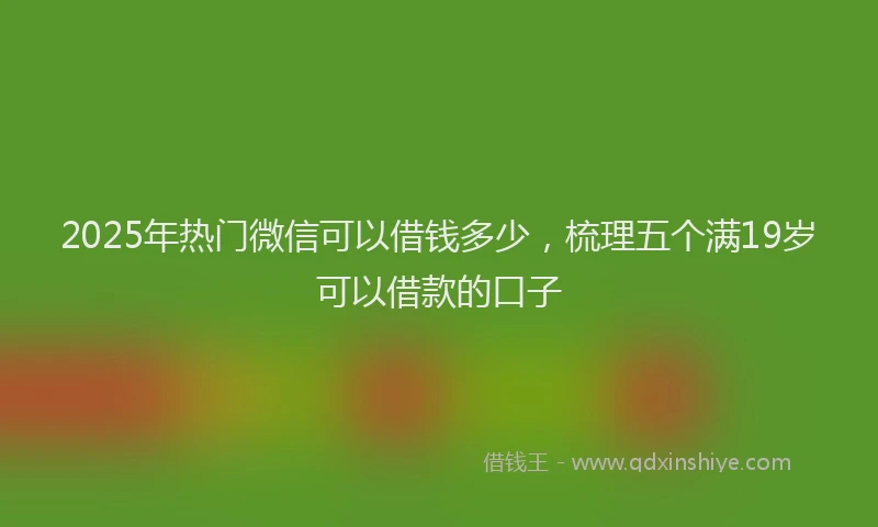 2025年热门微信可以借钱多少，梳理五个满19岁可以借款的口子