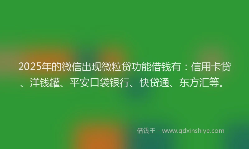 2025年的微信出现微粒贷功能借钱有：信用卡贷、洋钱罐、平安口袋银行、快贷通、东方汇等。