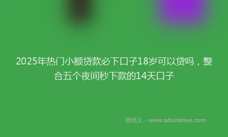 2025年热门小额贷款必下口子18岁可以贷吗，整合五个夜间秒下款的14天口子